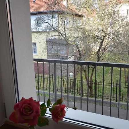 Blue Sail 招待所 索波特